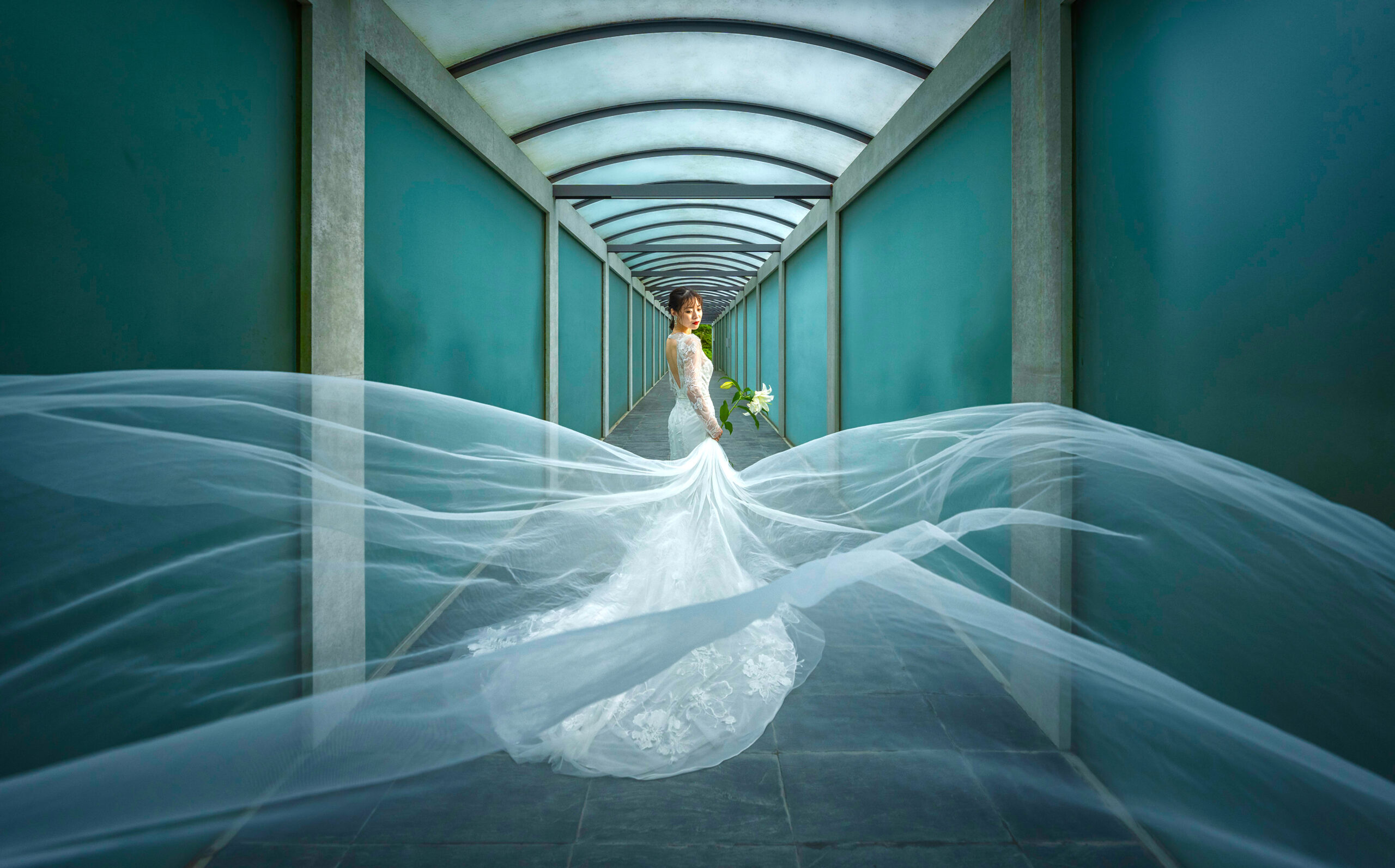 撮影事例｜Giveseed(ギブシード)